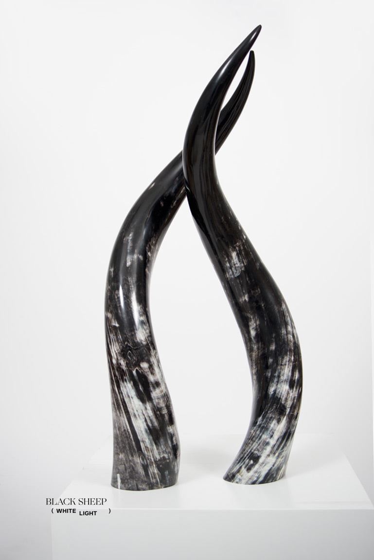 Ankole Dark Decorative Horn Set - Black Sheep (White Light)