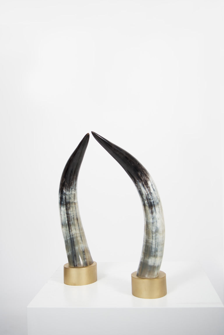 Ankole Dark Decorative Horn Set - Black Sheep (White Light)