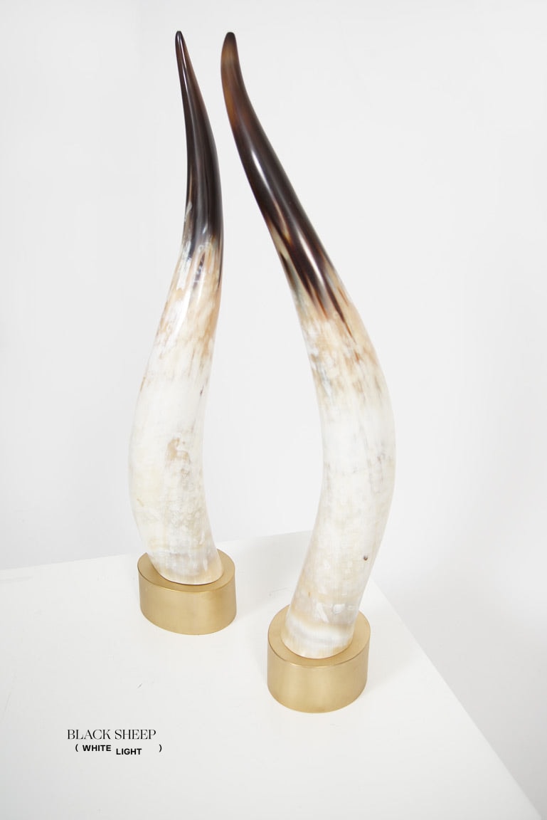 Ankole Light Decorative Horn Set - Black Sheep (White Light)