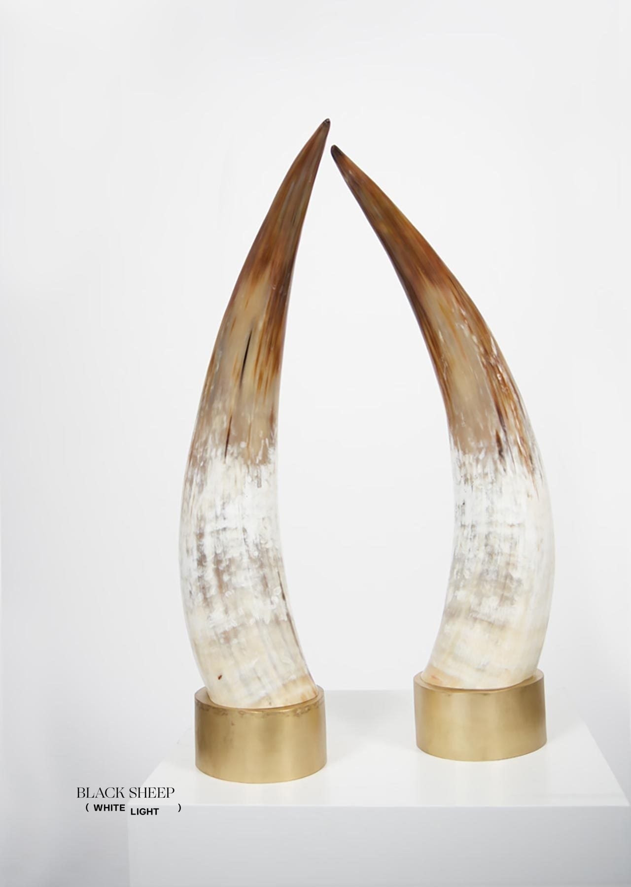 Ankole Light Decorative Horn Set - Black Sheep (White Light)
