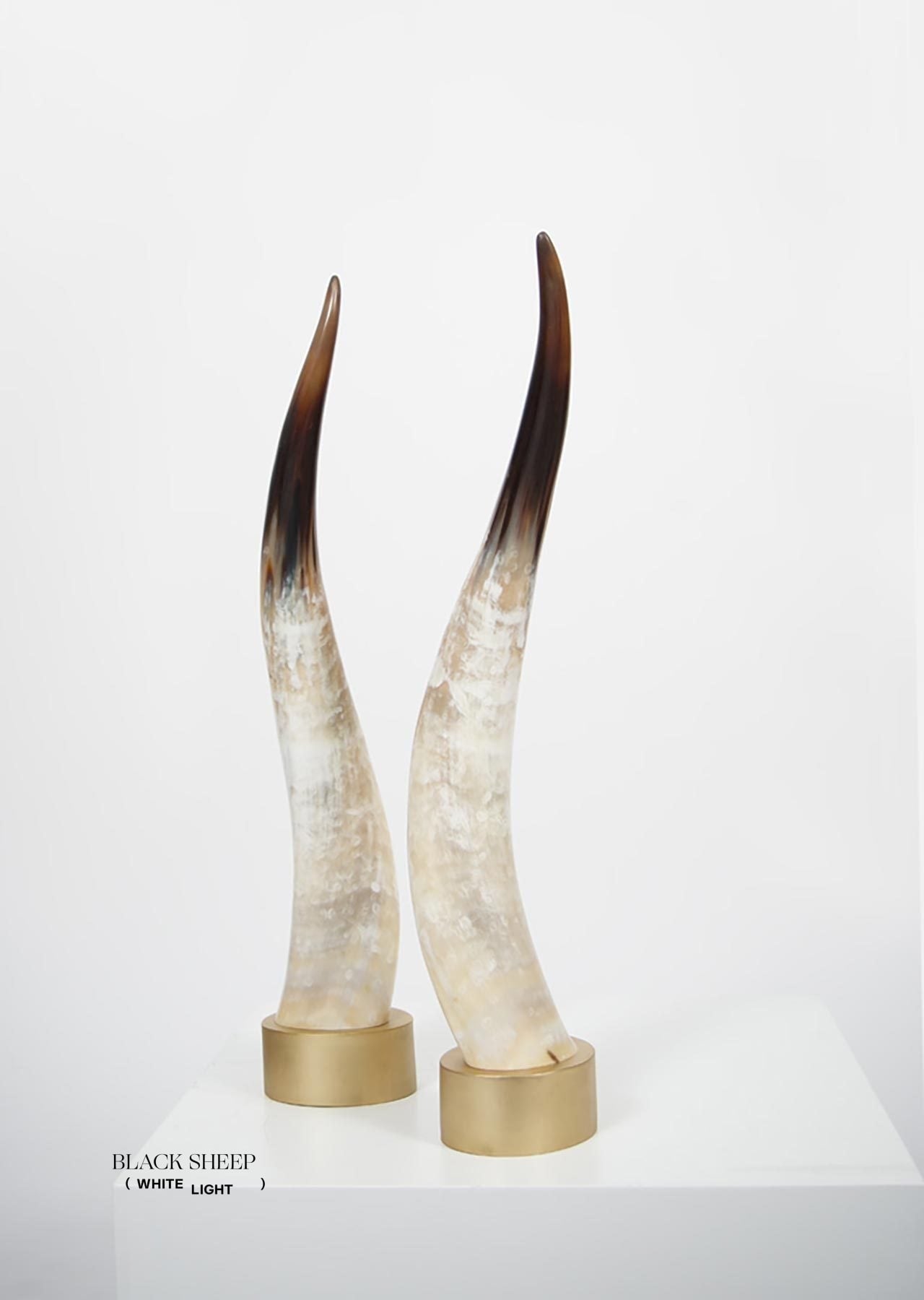Ankole Light Decorative Horn Set - Black Sheep (White Light)
