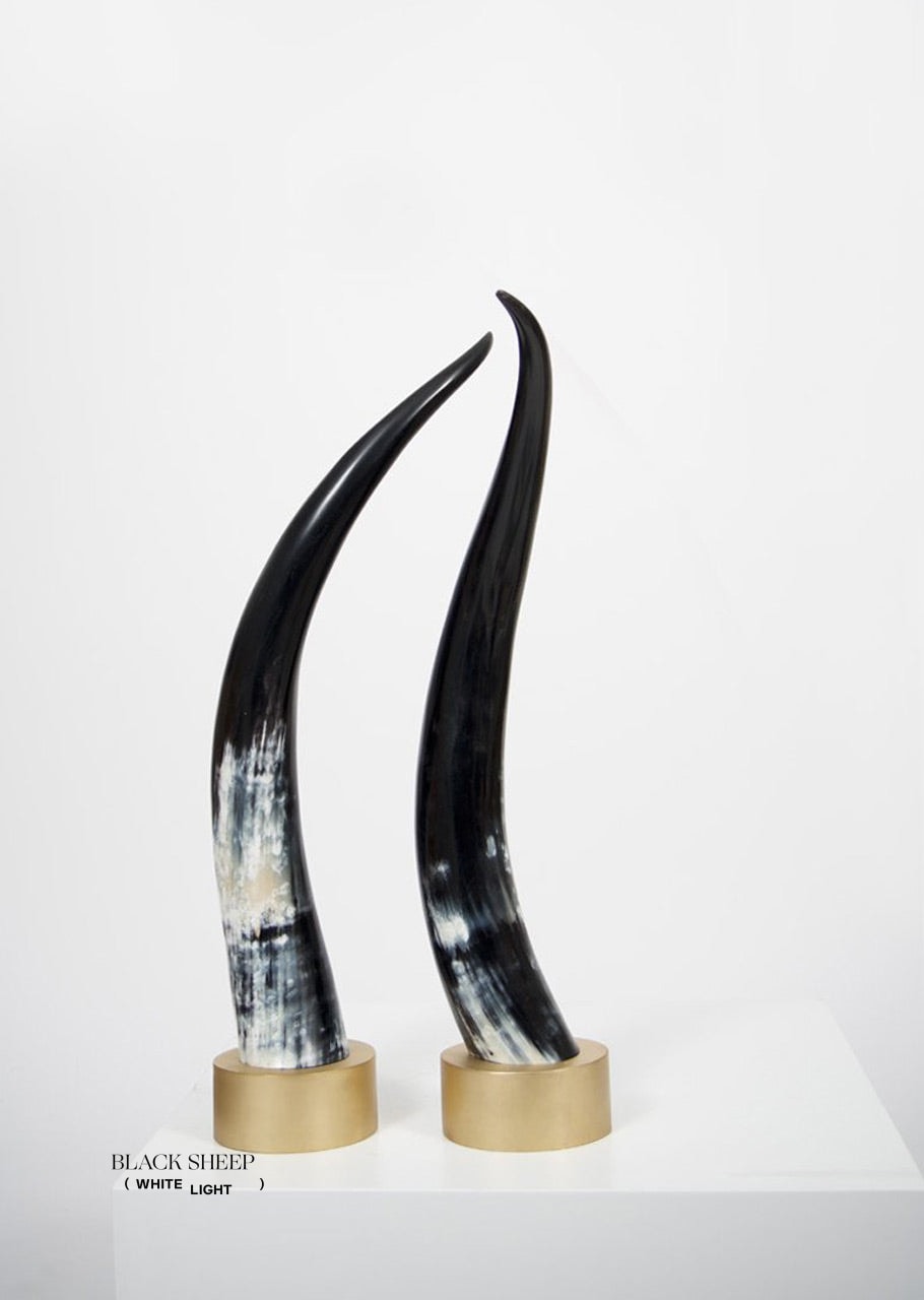 Ankole Dark Decorative Horn Set - Black Sheep (White Light)