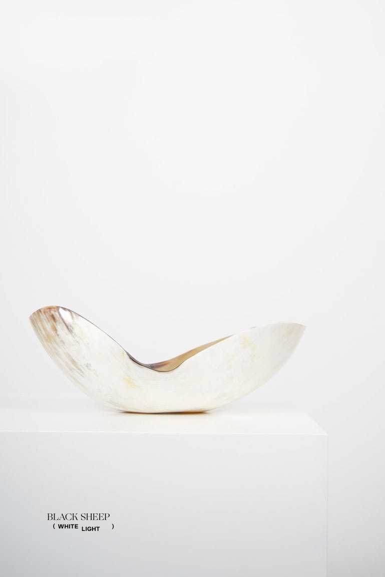 Ankole Horn Light Organic Vessel - Black Sheep (White Light)