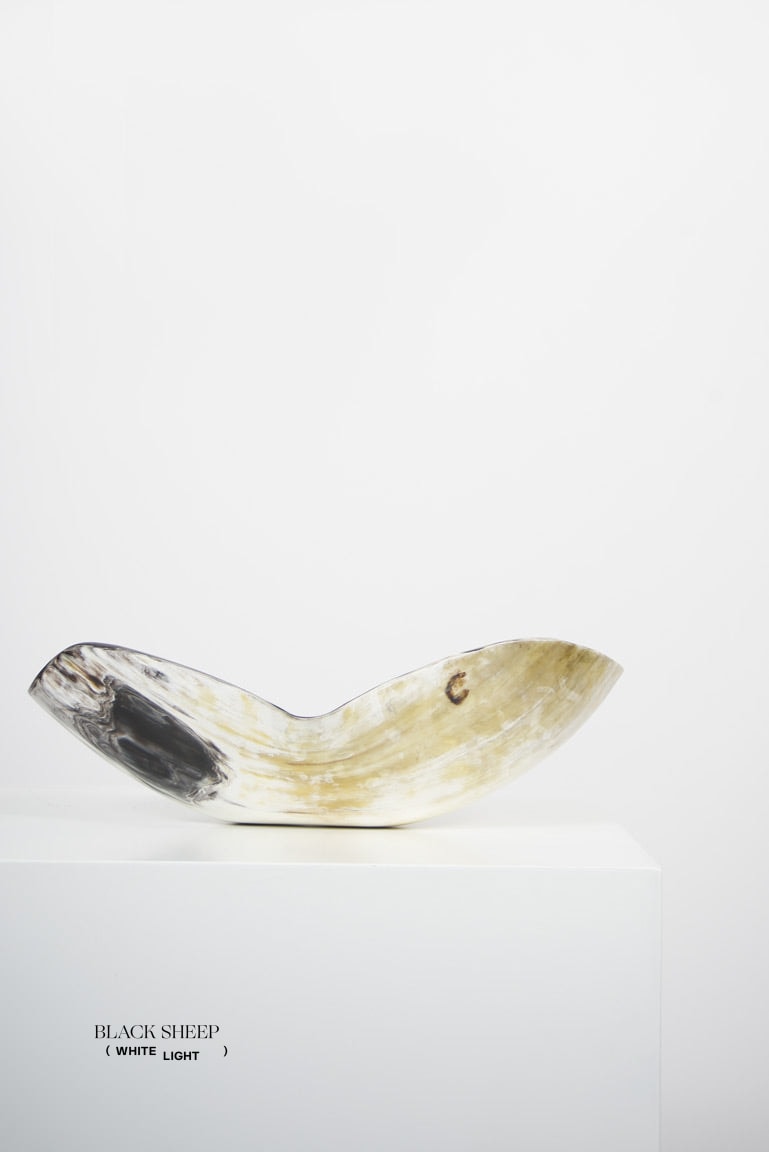 Ankole Horn Light Organic Vessel - Black Sheep (White Light)