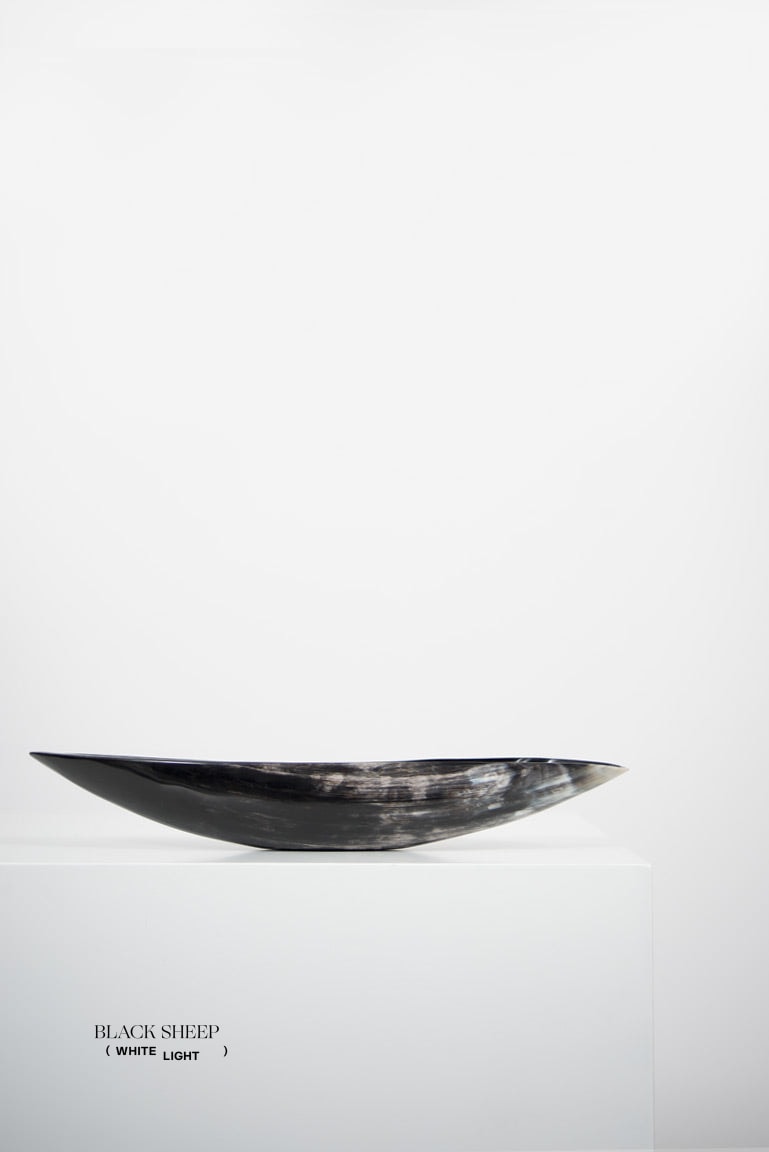 Ankole Horn Dark Oval Vessel - Black Sheep (White Light)