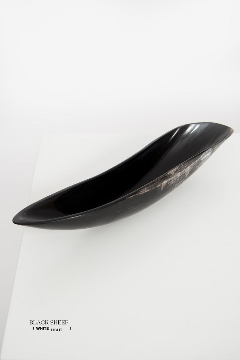 Ankole Horn Dark Oval Vessel - Black Sheep (White Light)