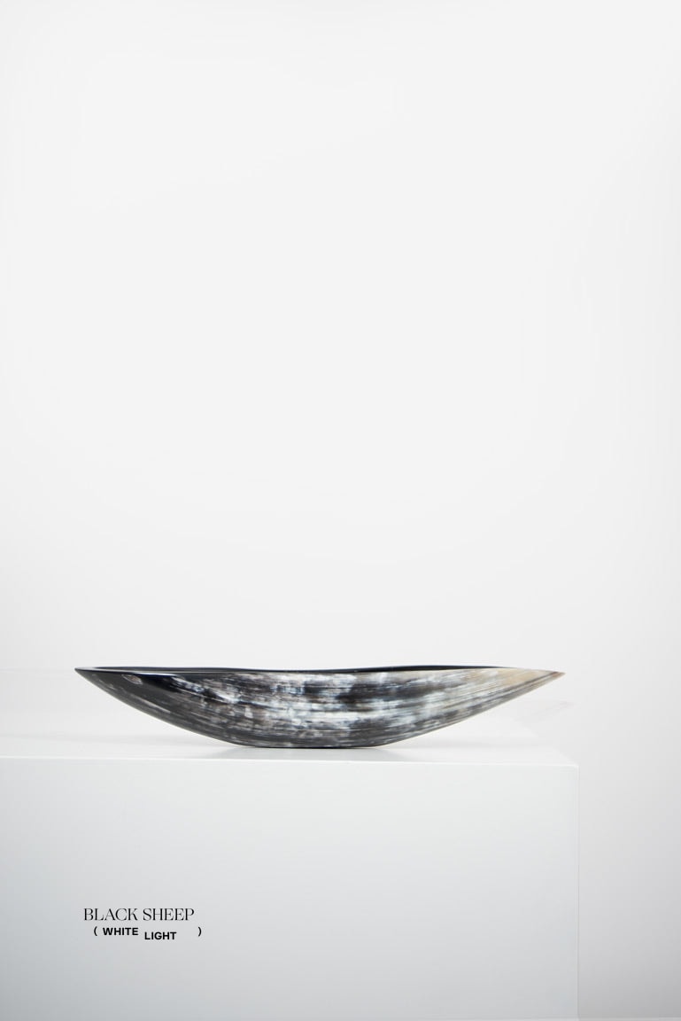 Ankole Horn Dark Oval Vessel - Black Sheep (White Light)