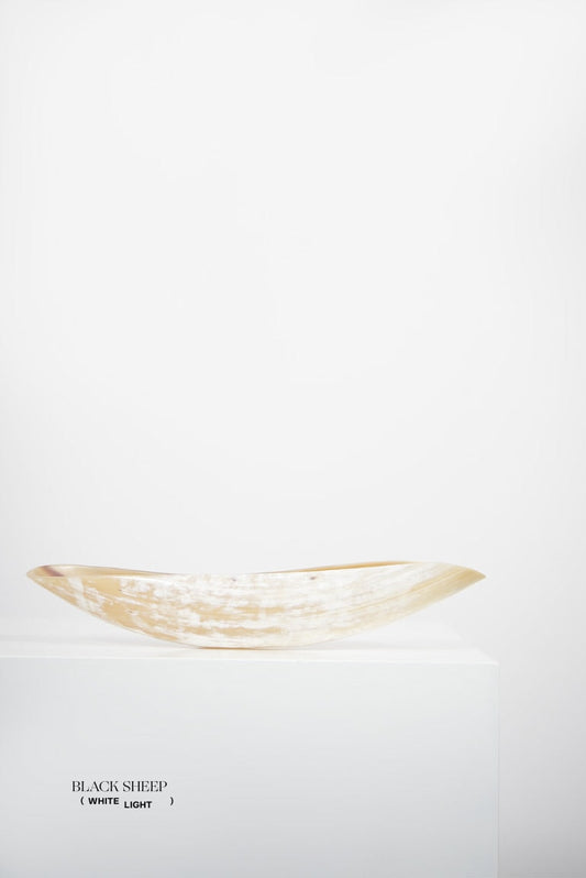 Ankole Horn Light Oval  Vessel - Black Sheep (White Light)
