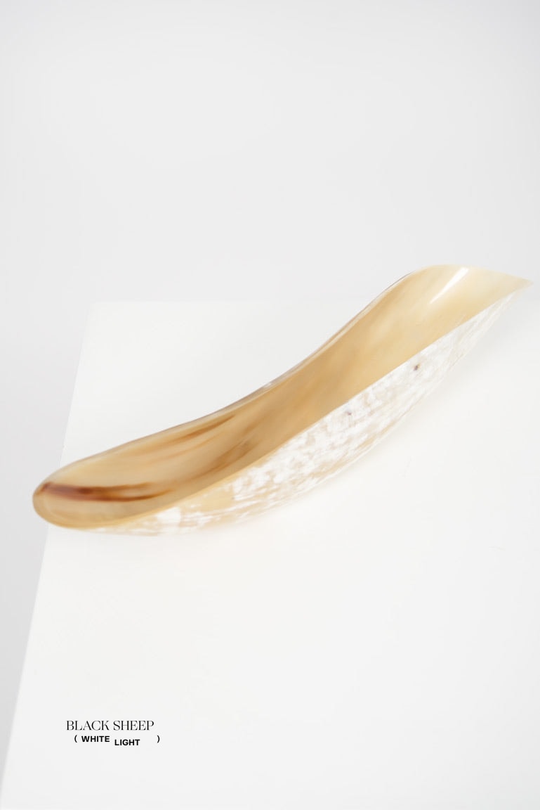 Ankole Horn Light Oval Vessel - Black Sheep (White Light)