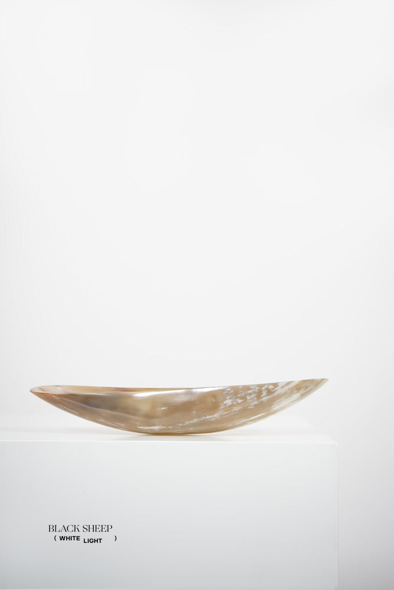 Ankole Horn Light Oval Vessel - Black Sheep (White Light)