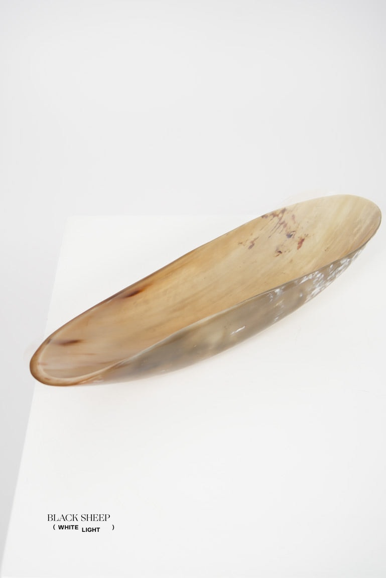 Ankole Horn Light Oval Vessel - Black Sheep (White Light)