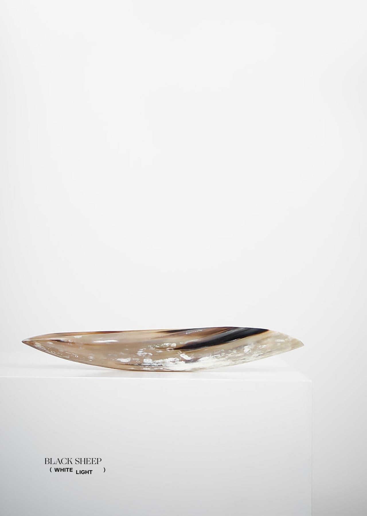 Ankole Horn Light Oval Vessel - Black Sheep (White Light)