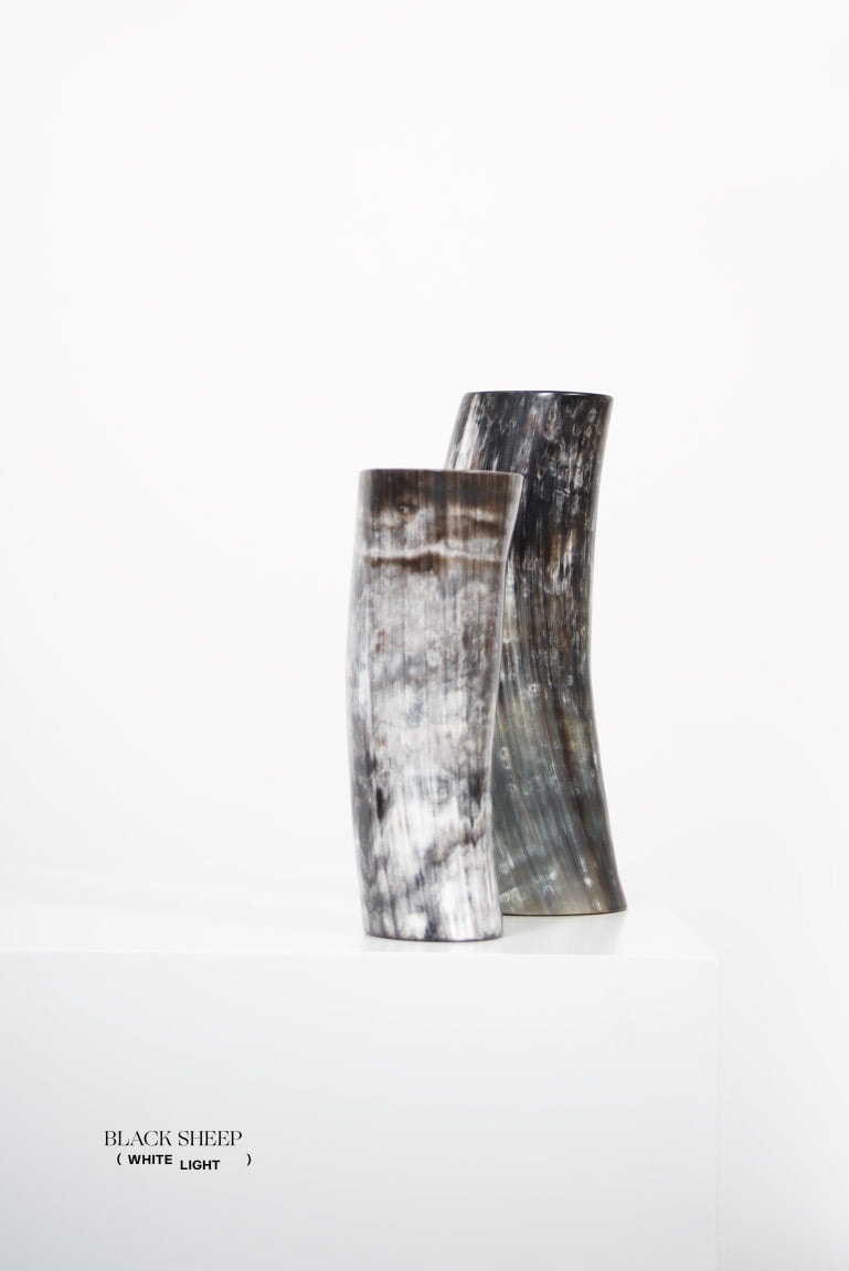 Ankole Horn Dark Vase - Black Sheep (White Light)