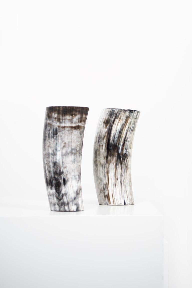 Ankole Horn Dark Vase - Black Sheep (White Light)