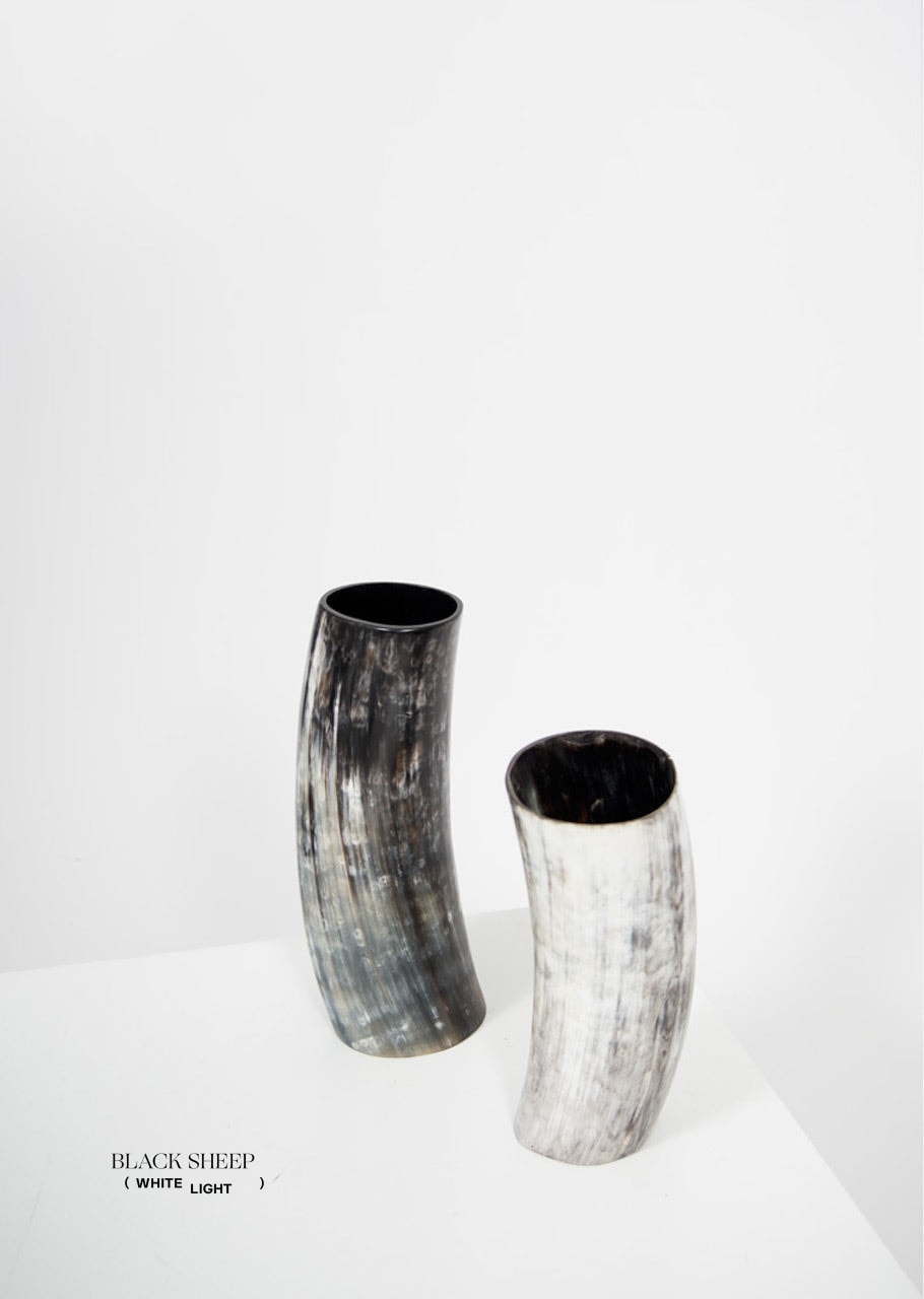 Ankole Horn Dark Vase - Black Sheep (White Light)