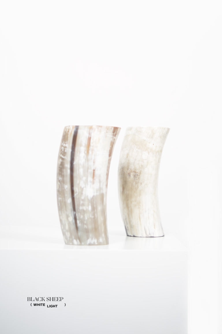 Ankole Horn Light Vase - Black Sheep (White Light)
