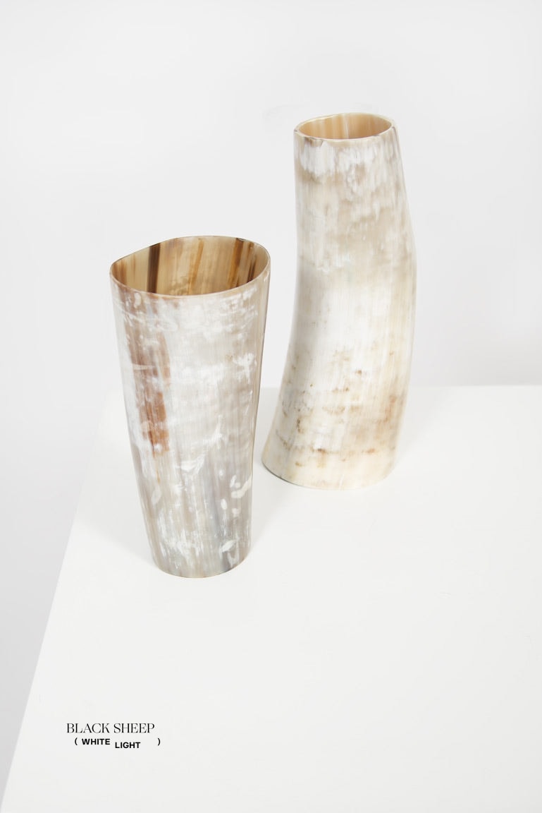 Ankole Horn Light Vase - Black Sheep (White Light)