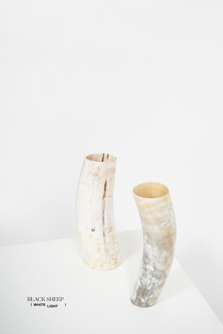 Ankole Horn Light Vase - Black Sheep (White Light)