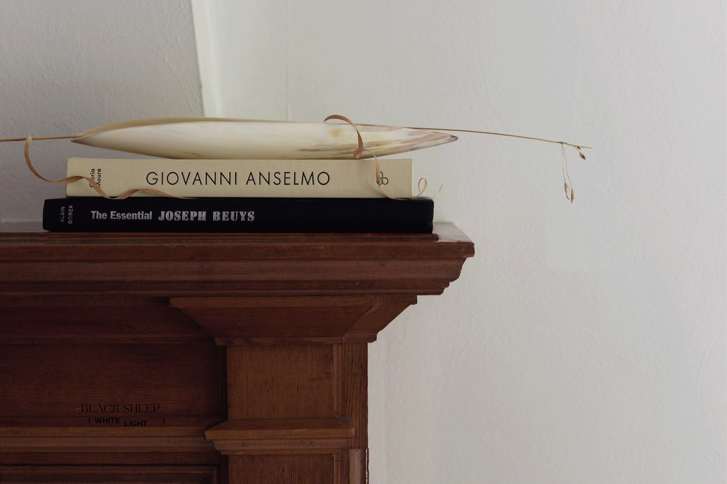 Ankole Horn Light Oval Vessel - Black Sheep (White Light)