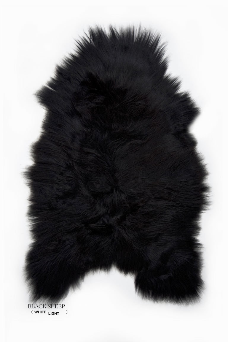 Black Icelandic Sheepskin - Black Sheep (White Light)