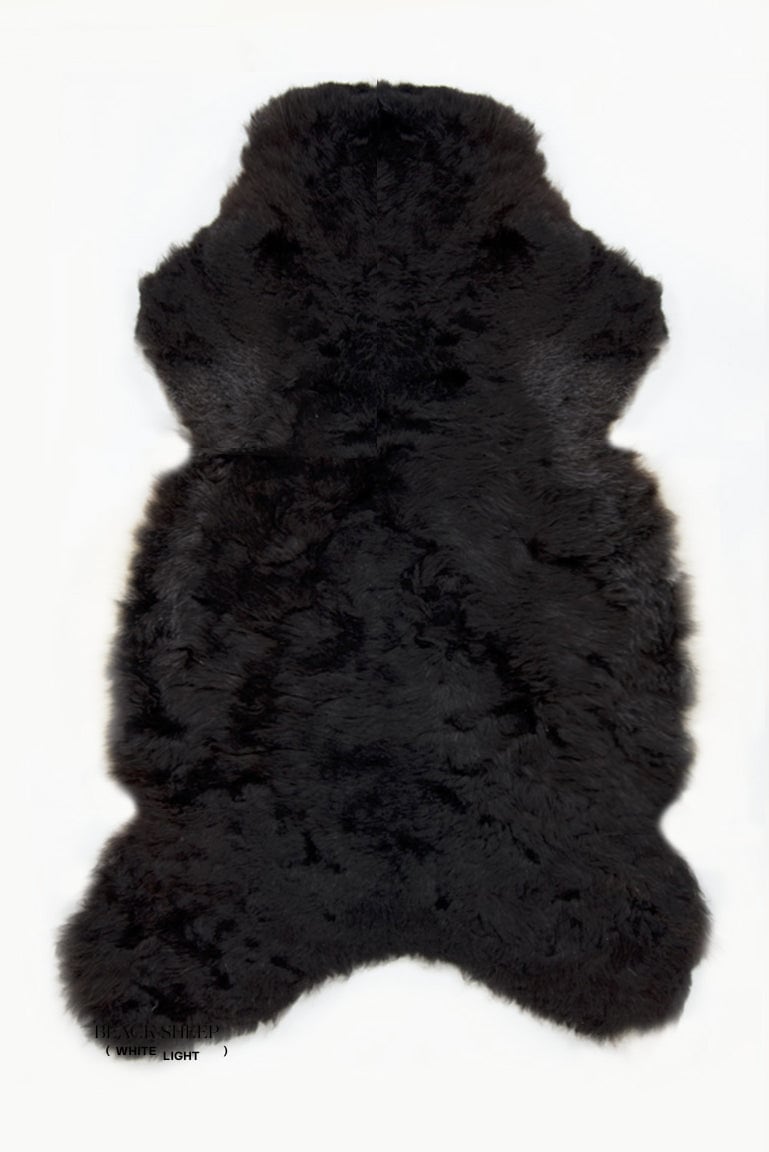 Shorn Black Icelandic Sheepskin - Black Sheep (White Light)