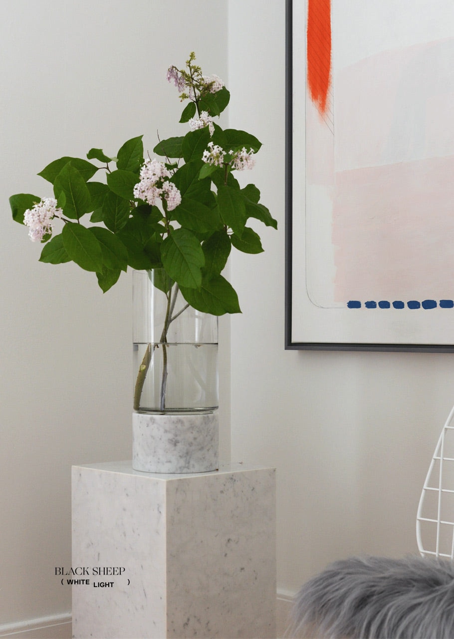 Bianco Carrara Marble and Glass Vase - Black Sheep (White Light)
