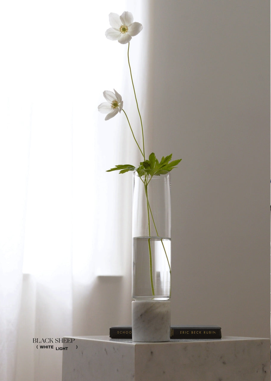 Bianco Carrara Marble and Glass Vase - Black Sheep (White Light)