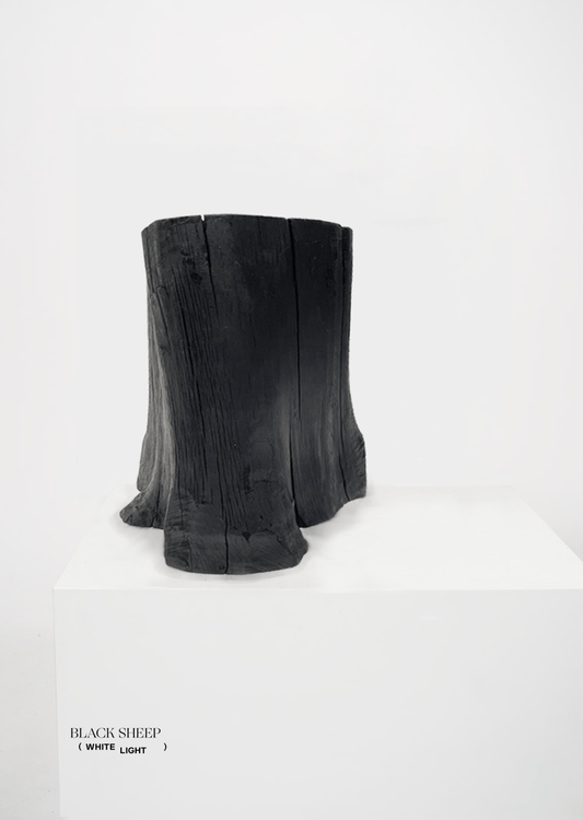 Burnt Teak Trunk Side Table or Stool - Black Sheep (White Light)