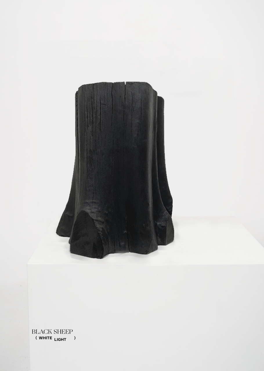 Burnt Teak Trunk Side Table or Stool - Black Sheep (White Light)