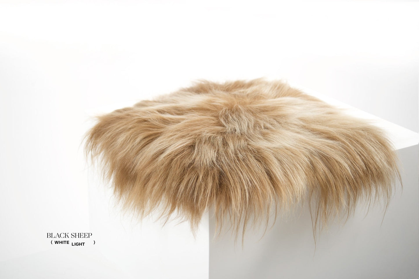 Brown Icelandic Sheepskin Chair Pad - Black Sheep (White Light)