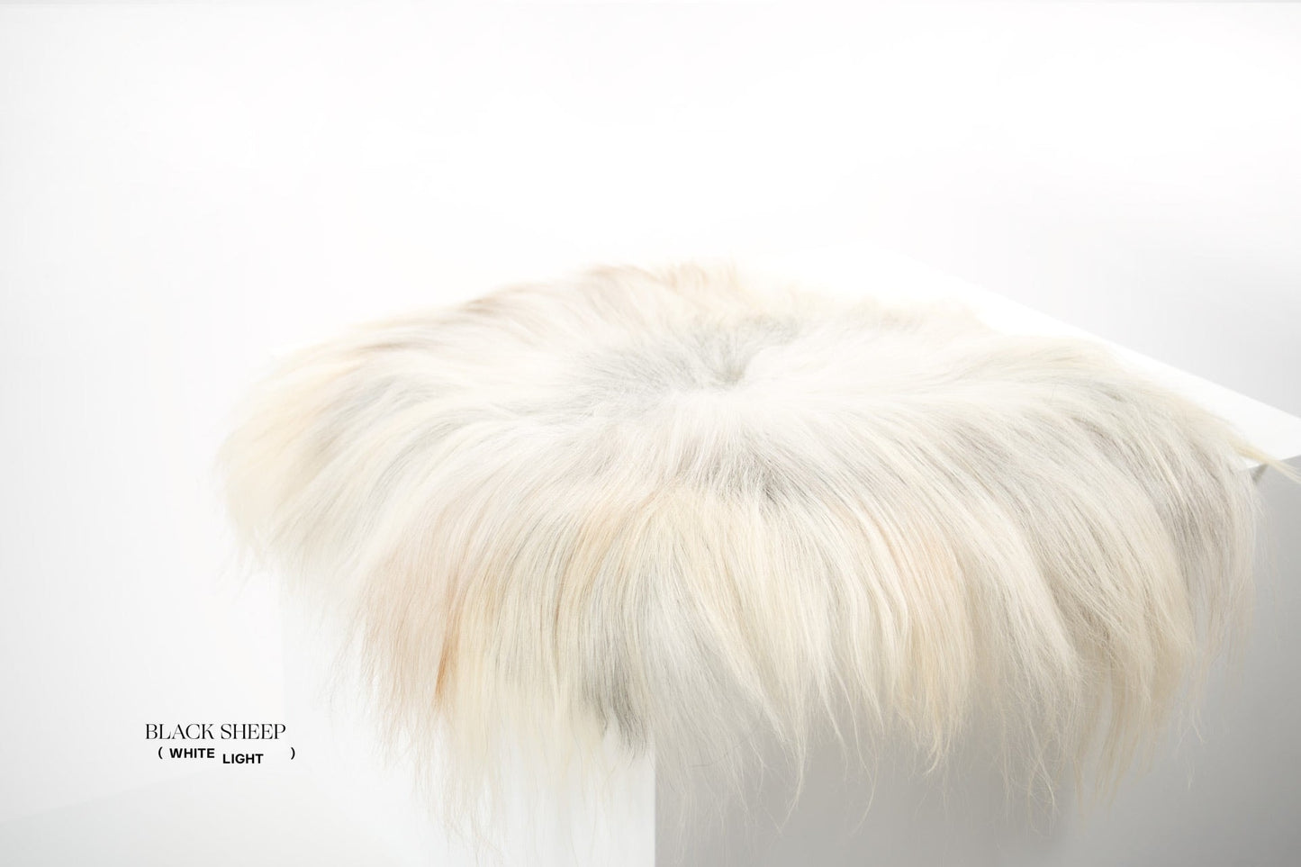 Grey Icelandic Sheepskin Chair Pad - Black Sheep (White Light)