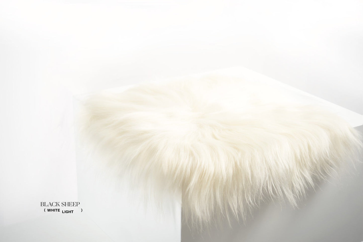 White Icelandic Sheepskin Chair Pad - Black Sheep (White Light)