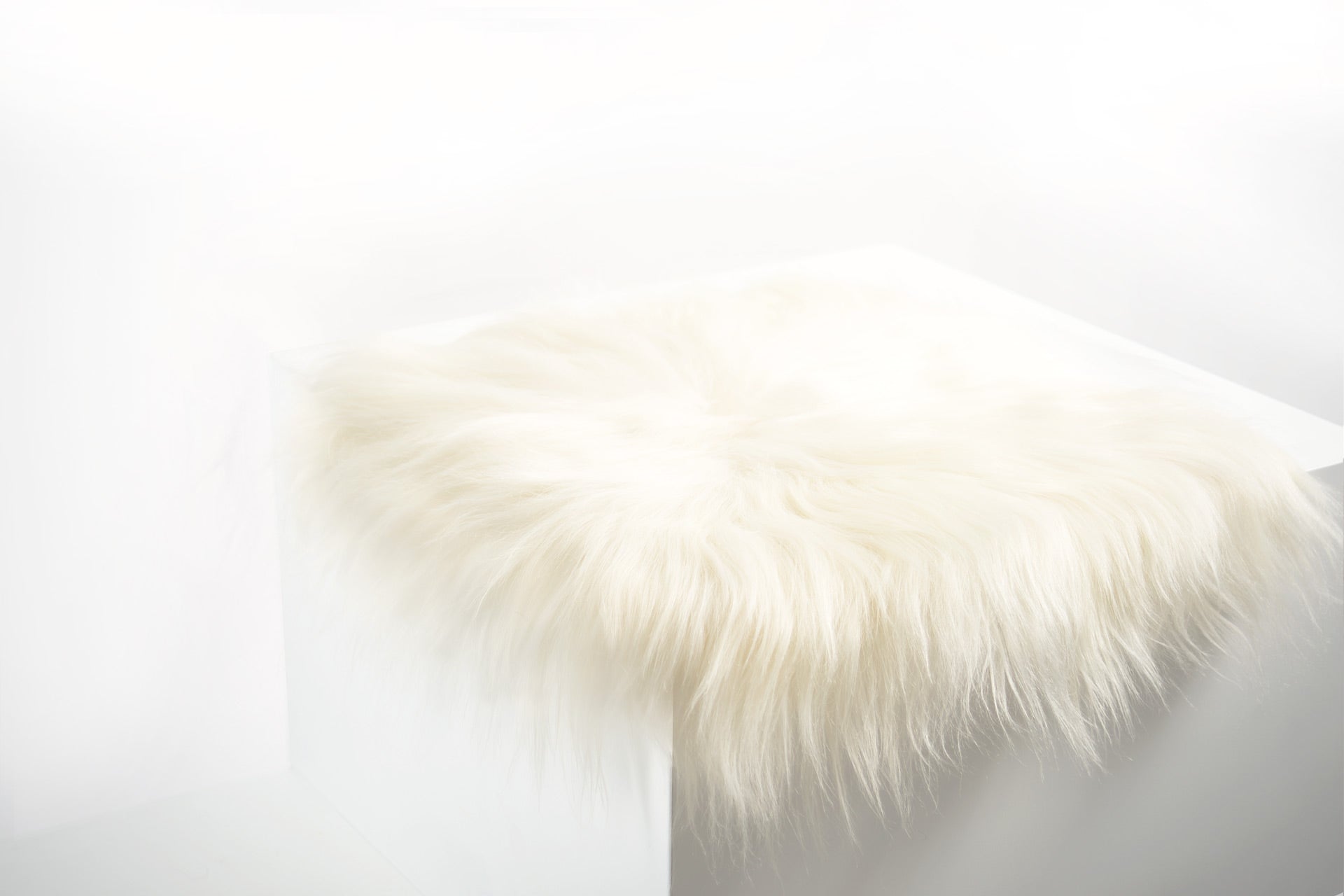 White Icelandic Sheepskin Chair Pad - Black Sheep (White Light)