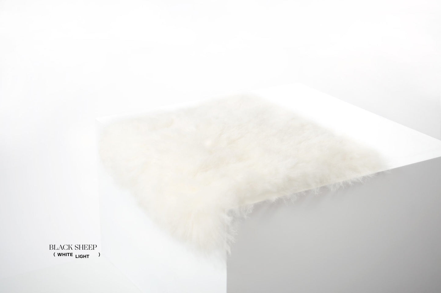 Shorn White Icelandic Sheepskin Chair Pad - Black Sheep (White Light)