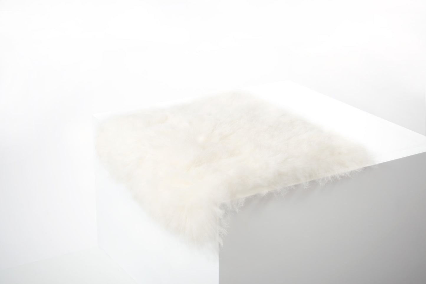 Shorn White Icelandic Sheepskin Chair Pad - Black Sheep (White Light)