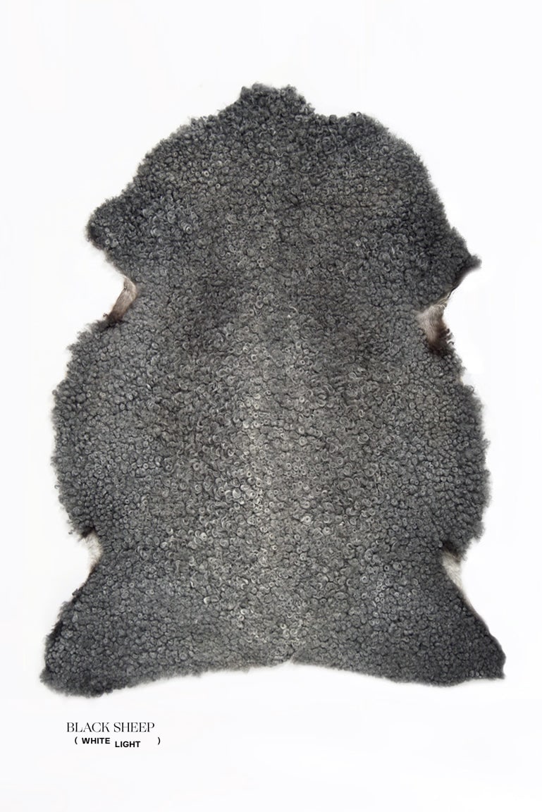 Grey Short Wool Gotland Sheepskin - Black Sheep (White Light)