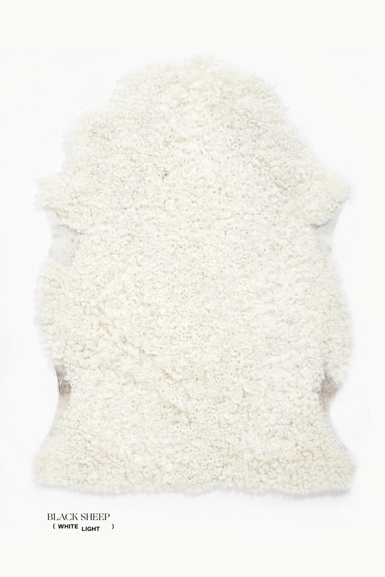 White Short Wool Gotland Sheepskin - Black Sheep (White Light)