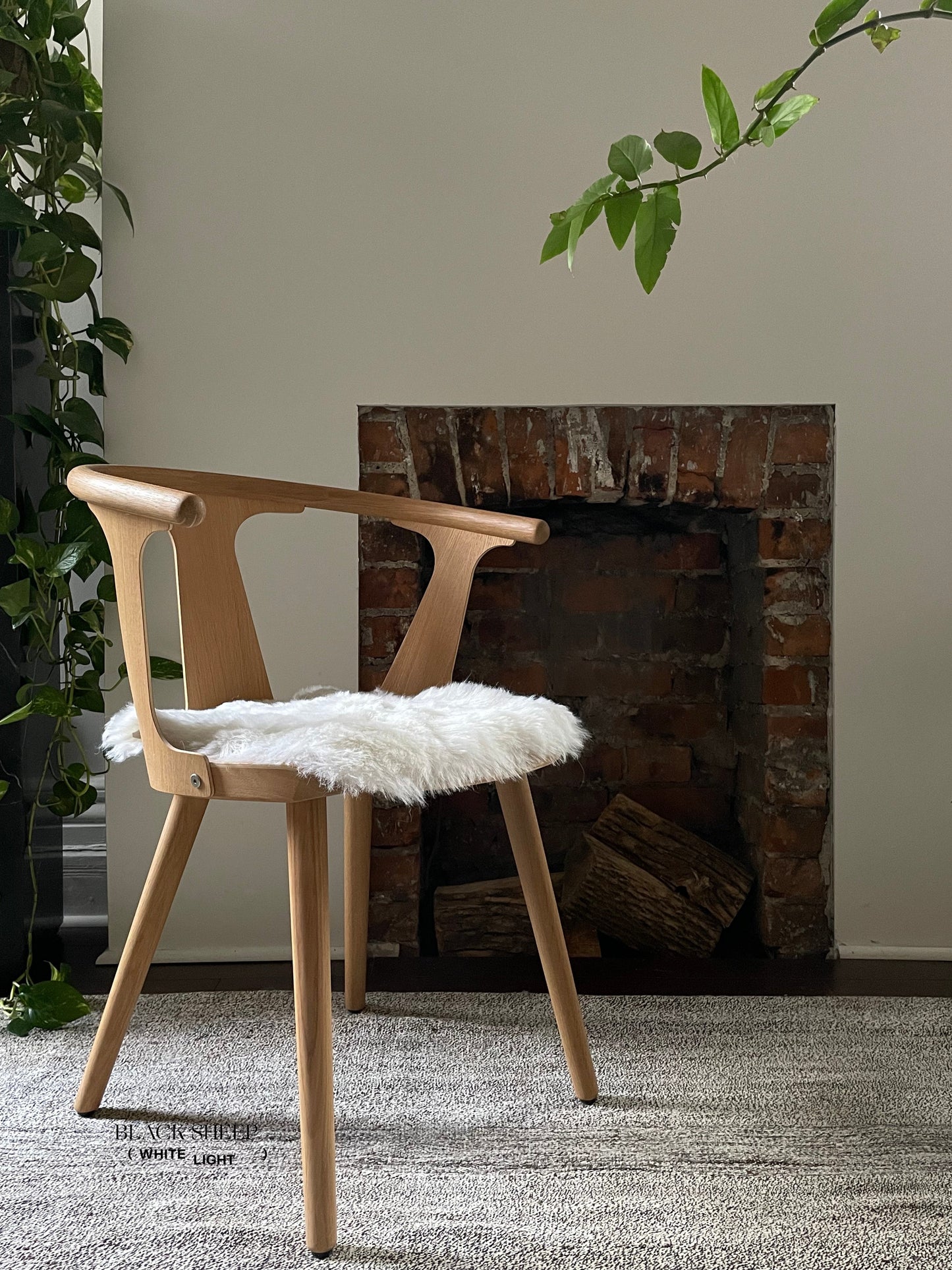 Shorn White Icelandic Sheepskin Chair Pad - Black Sheep (White Light)