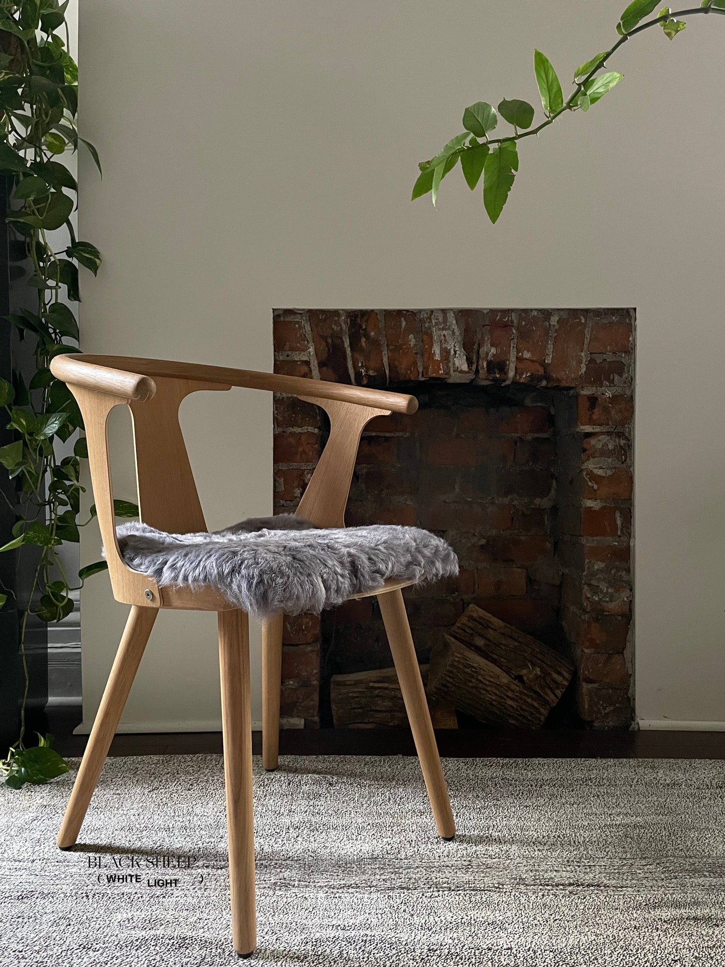 Shorn Silver Icelandic Sheepskin Chair Pad - Black Sheep (White Light)