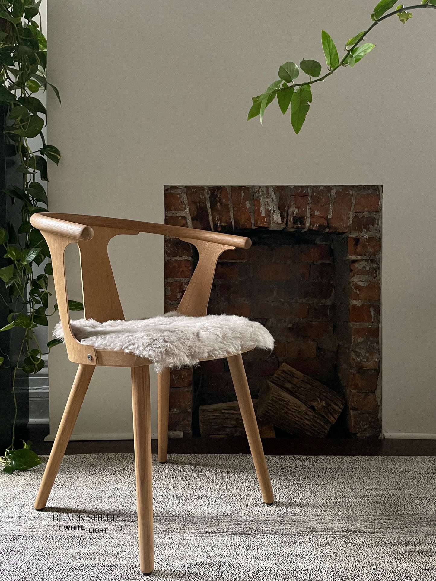 Shorn Nude Icelandic Sheepskin Chair Pad - Black Sheep (White Light)