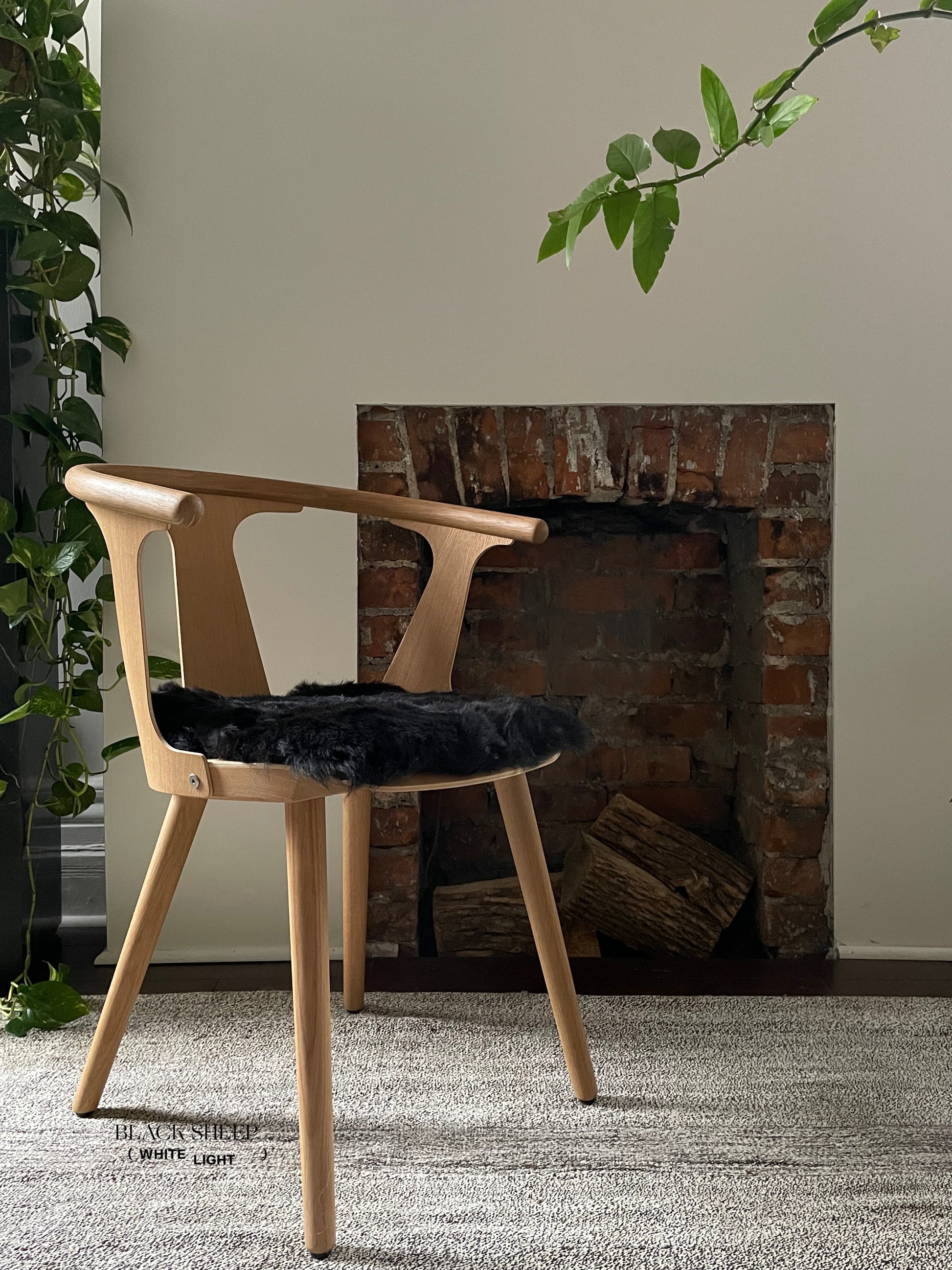 Shorn Black Icelandic Sheepskin Chair Pad - Black Sheep (White Light)