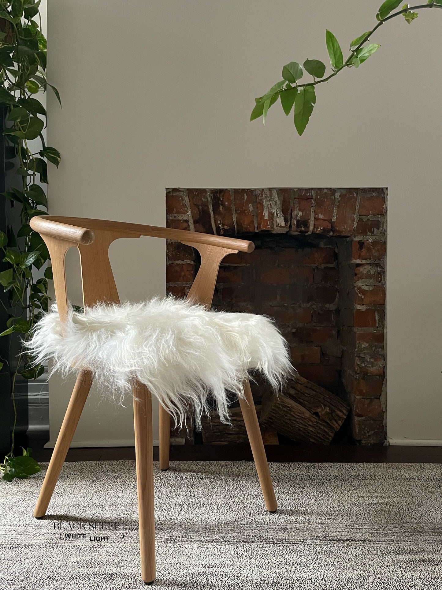 White Icelandic Sheepskin Chair Pad - Black Sheep (White Light)