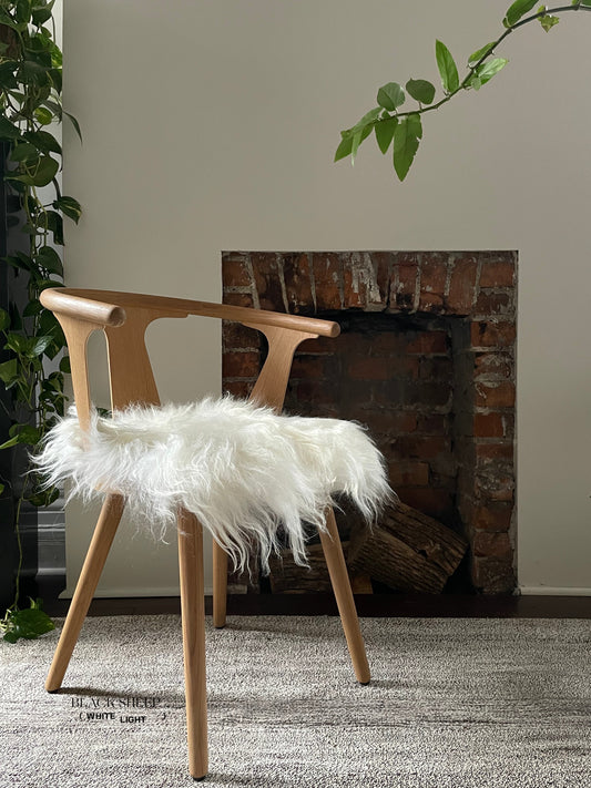 White Icelandic Sheepskin Chair Pad - Black Sheep (White Light)