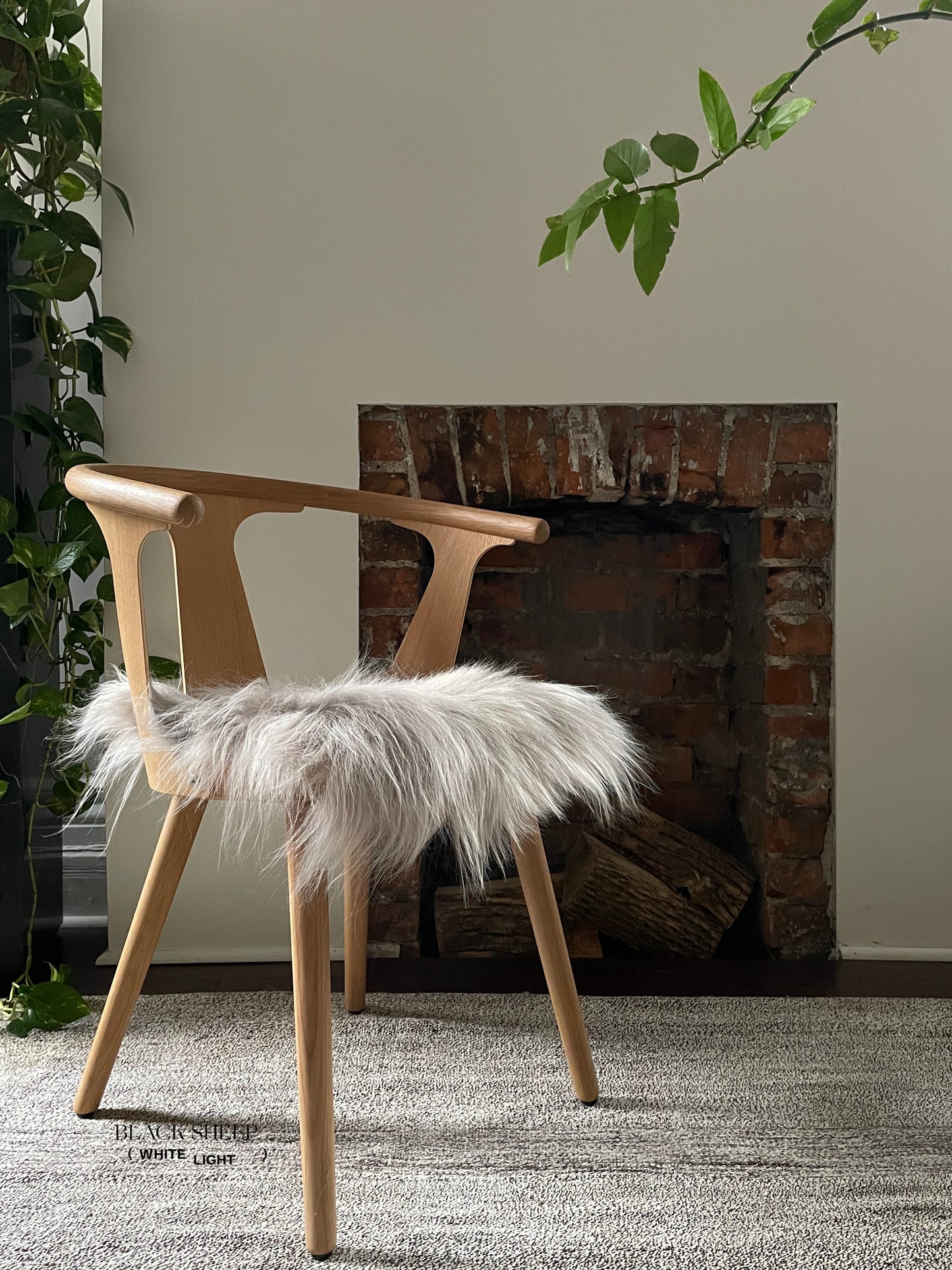 Nude Icelandic Sheepskin Chair Pad - Black Sheep (White Light)