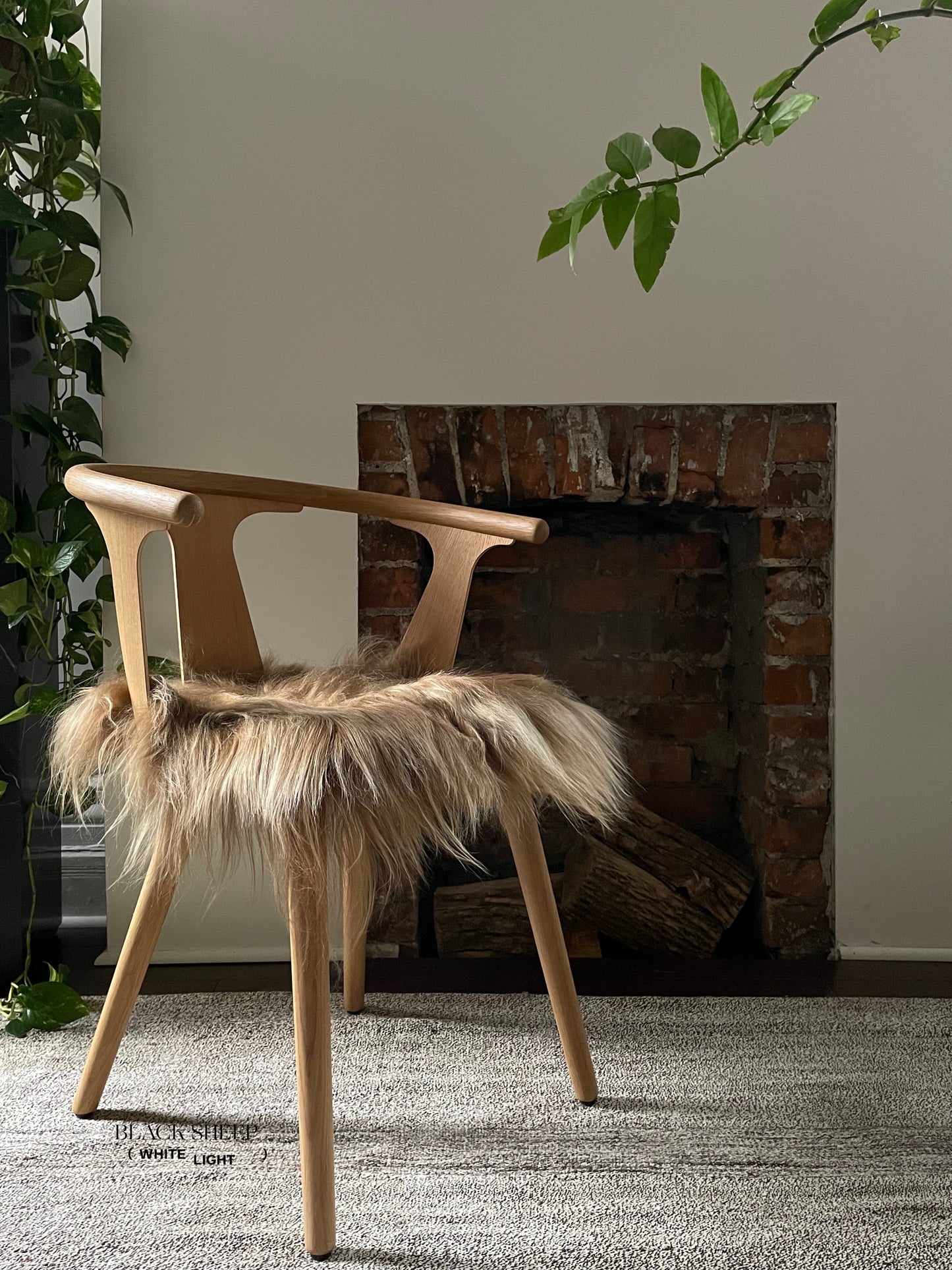 Brown Icelandic Sheepskin Chair Pad - Black Sheep (White Light)