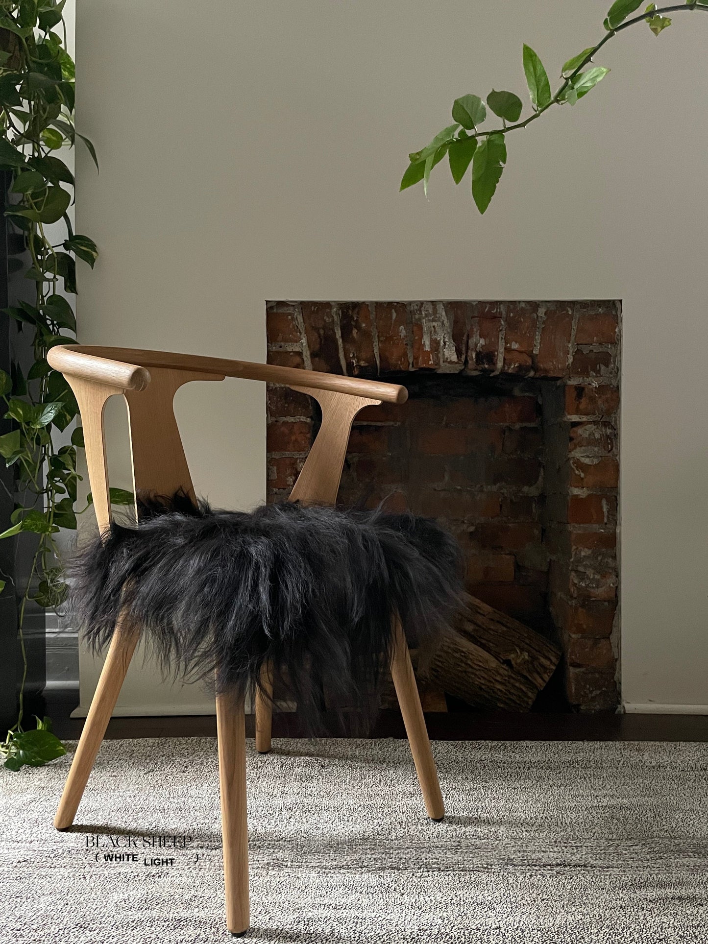 Black Icelandic Sheepskin Chair Pad - Black Sheep (White Light)