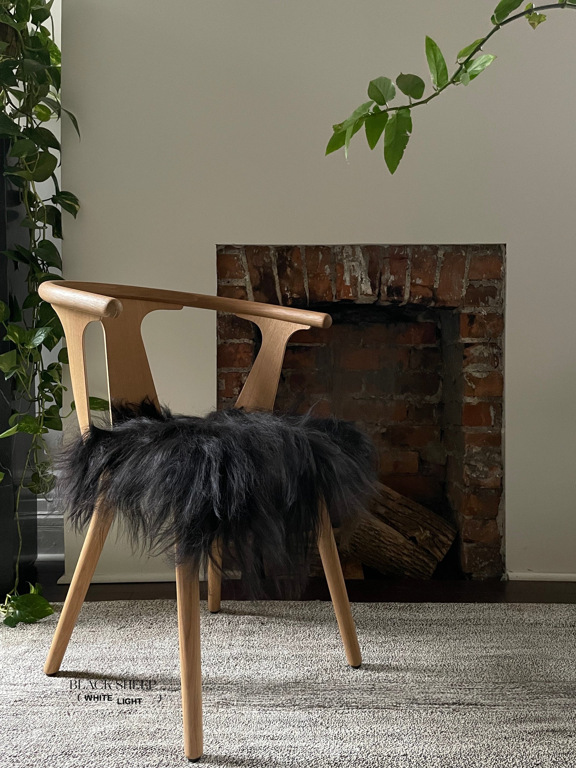 Black Icelandic Sheepskin Chair Pad - Black Sheep (White Light)