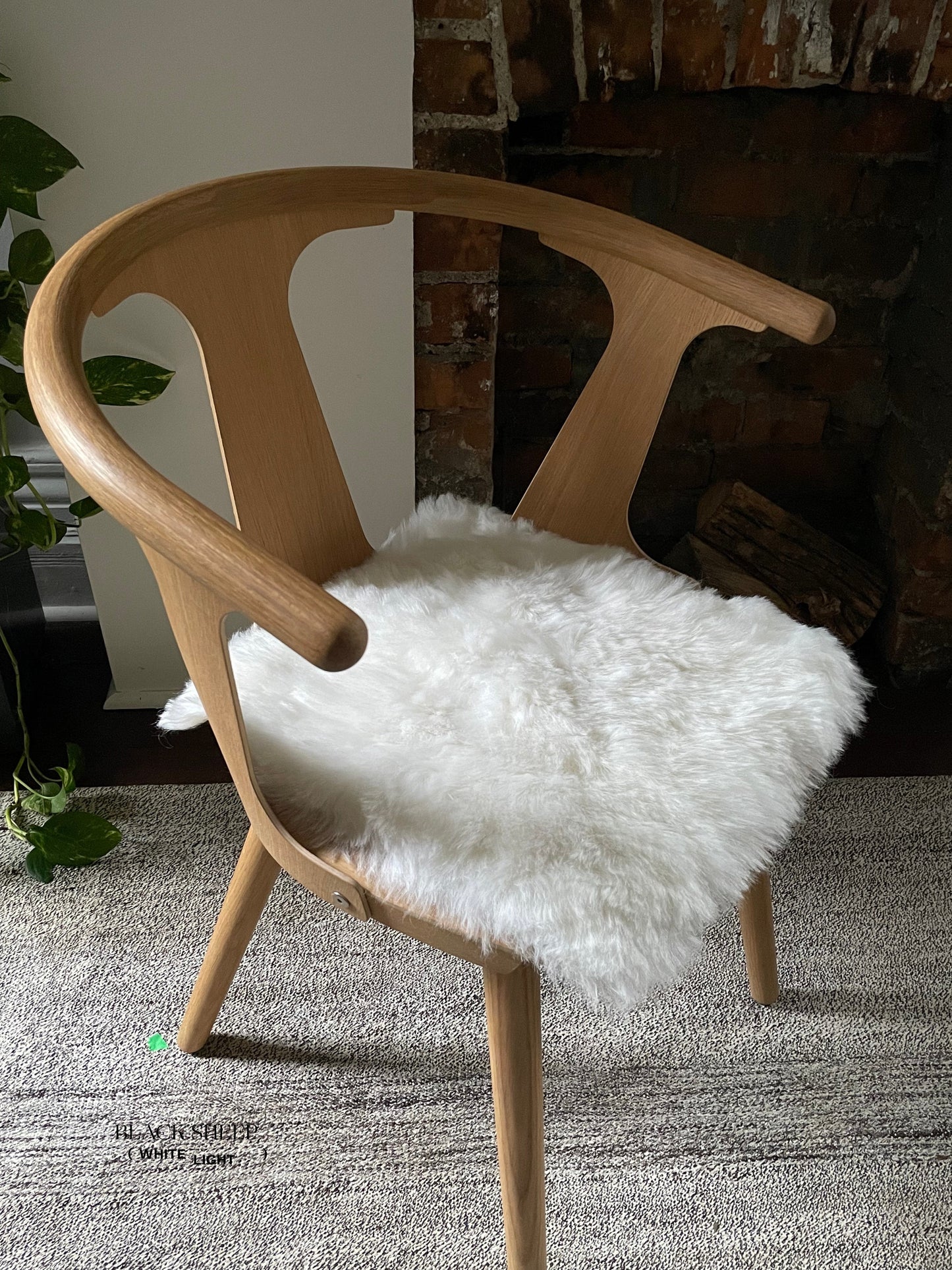 Shorn White Icelandic Sheepskin Chair Pad - Black Sheep (White Light)