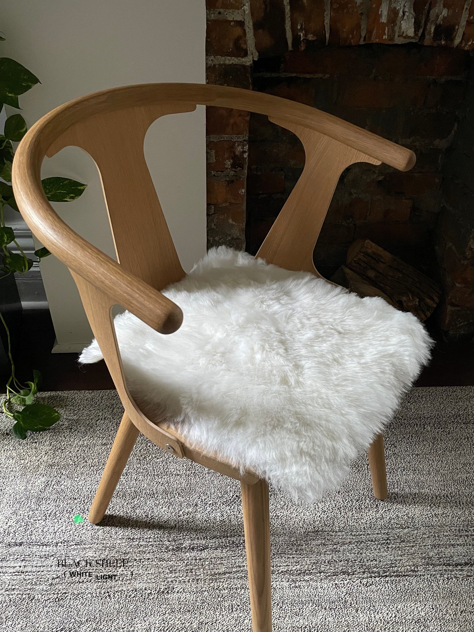 Shorn White Icelandic Sheepskin Chair Pad - Black Sheep (White Light)