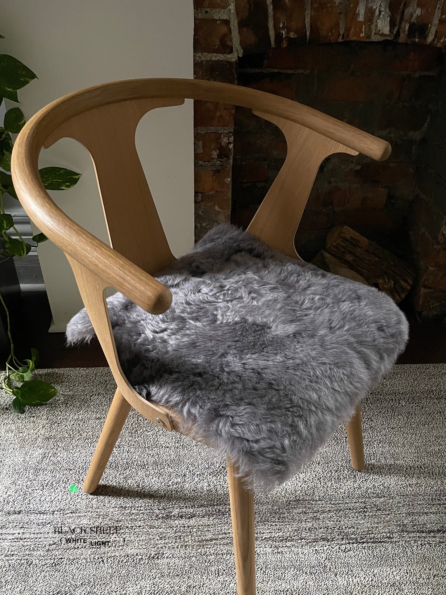 Shorn Silver Icelandic Sheepskin Chair Pad - Black Sheep (White Light)